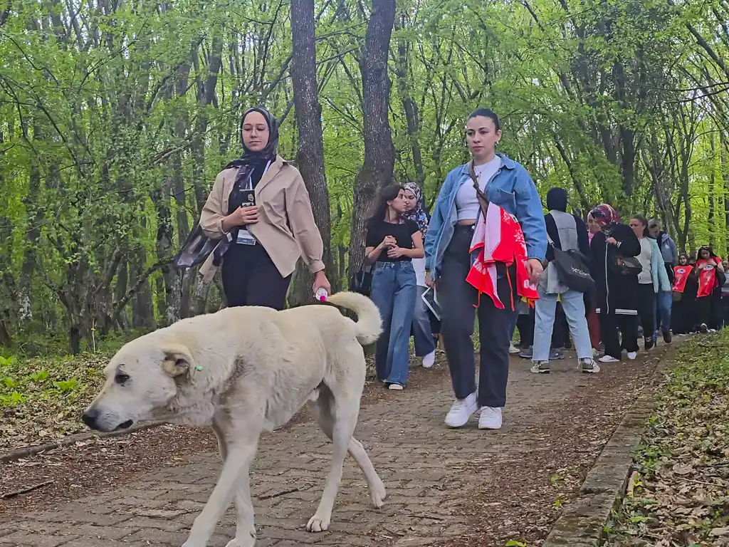 Gölköy'de "Doğanın Farkında mıyız?" Yürüyüşü Doğayla Bütünleşme Çağrısı Yaptı galeri görseli