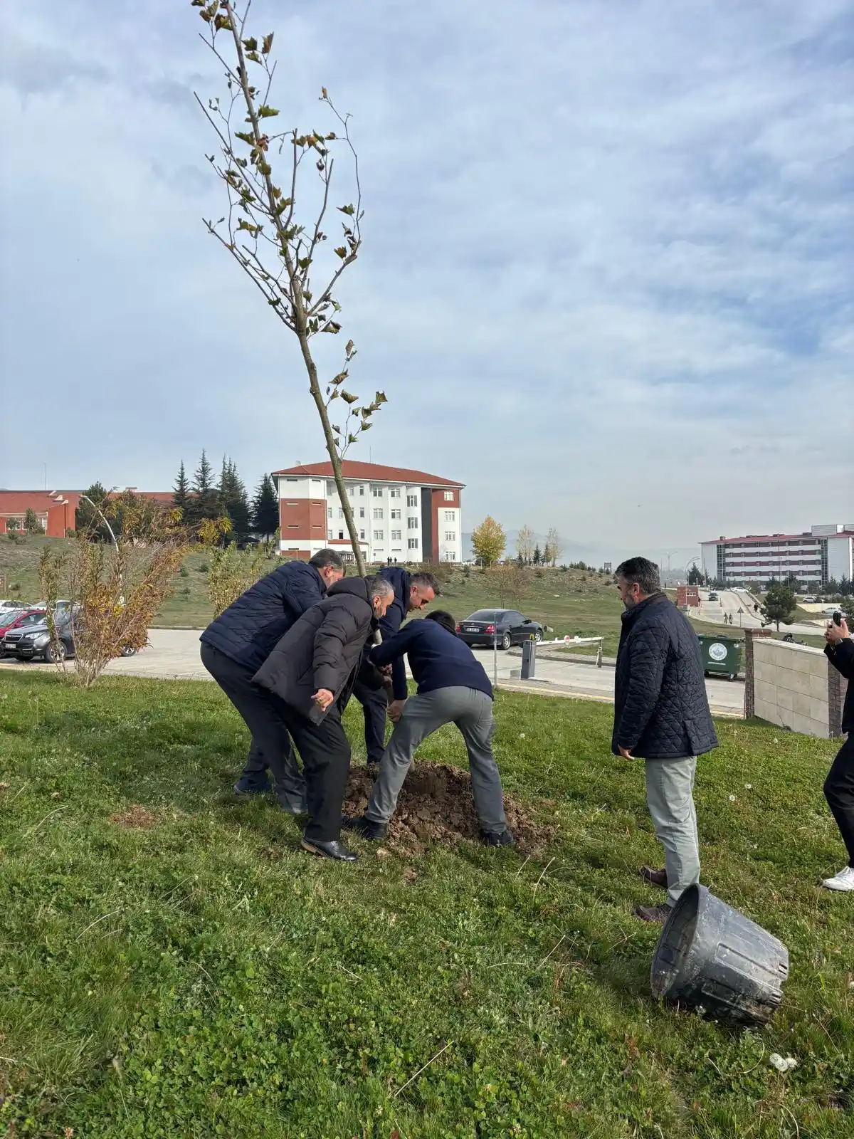 BAİBÜ İlahiyat Fakültesi Bahçesine Çınar Dikimi Etkinliği Gerçekleştirildi galeri görseli